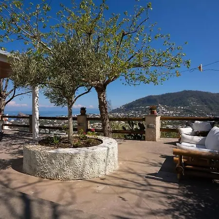 Villetta Pettirosso Ischia