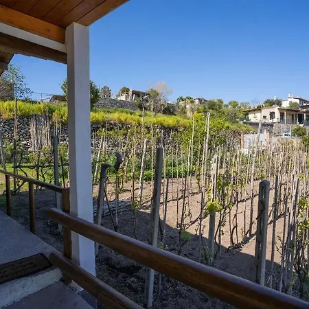 Villetta Pettirosso * Ischia